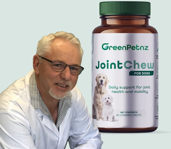 뉴질랜드 그린펫엔젯 조인트츄 강아지 관절 슬개골 영양제 2개월분 60정, 1개, 뼈/관절강화 - 쿠팡