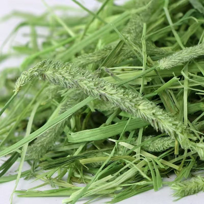 提摩西草 烘乾保留營養 香綠軟, 1kg, 1個