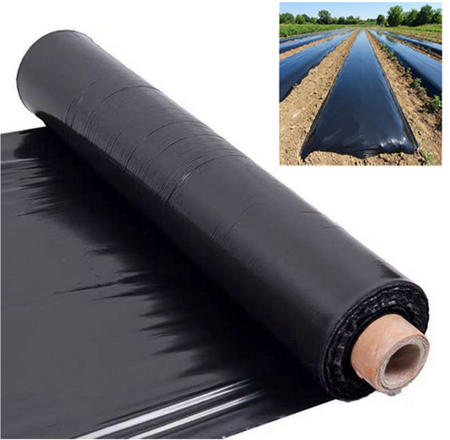 농사용 검정 멀칭비닐 배추멀칭비닐 모종비닐 고추밭 농사용비닐 60cm*250m 1m*300m 10m, 1세트