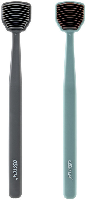 오스템 혀클리너 2개(그레이1개+민트1개), 2개, 14g