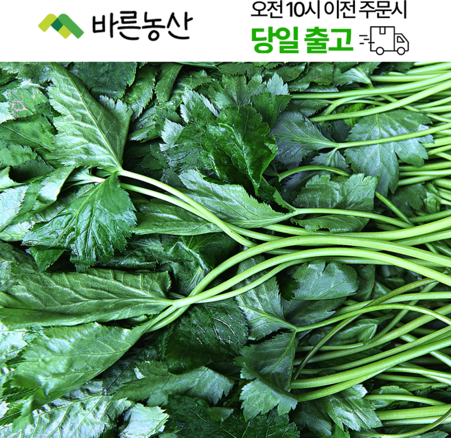 < 바른농산 > 국내산 참나물 봄나물, 1개, 4kg