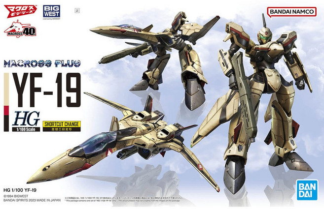 BANDAI HG 1/100 超時空要塞 YF-19 模型, 1個