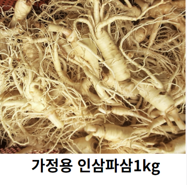 금산인삼파삼1kg 세척수삼5년근 생삼 인삼파삼1kg 세척삼 인삼파지 못난이인삼, 1개