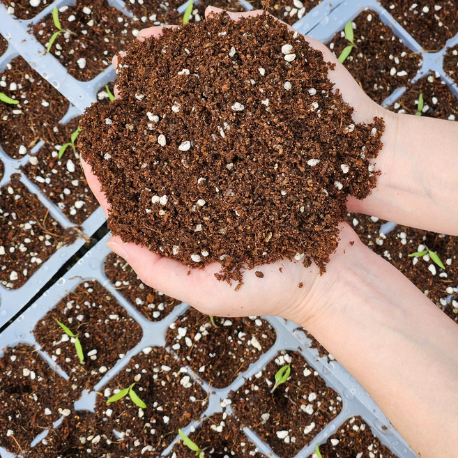 화분갈이 흙 배양토 배합토 황토흙 상토 살균흙 코코피트 피트모스, 10L, 1개