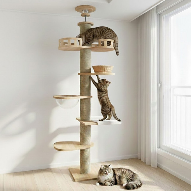 포조이 캣타워 캣폴 튼튼한 다기능 고양이 캣타워 원목 대형 멀티 클라이밍 놀이터 링트리, 1개, 카키