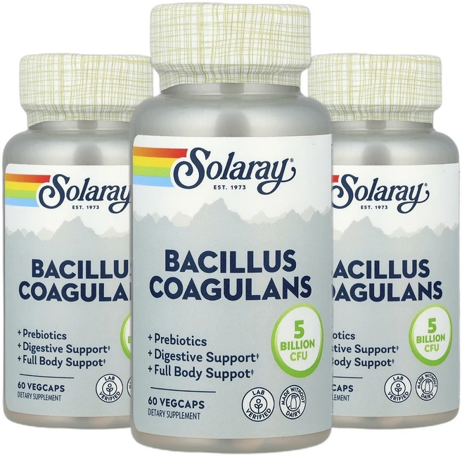 2+1 솔라레이 바실러스 코아귤런스 50억 이눌린 치커리 프로바이오틱 60 베지캡슐, 3개, 60정 - 쿠팡