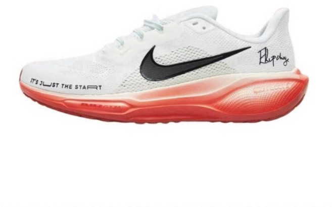 나이키 페가수스 41 엘리우드 킵초게