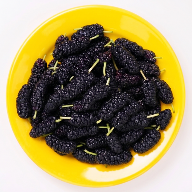 [억수로상회] 급냉 산지직송 고창 오디 (과상 2호 특품), 1개, 4kg