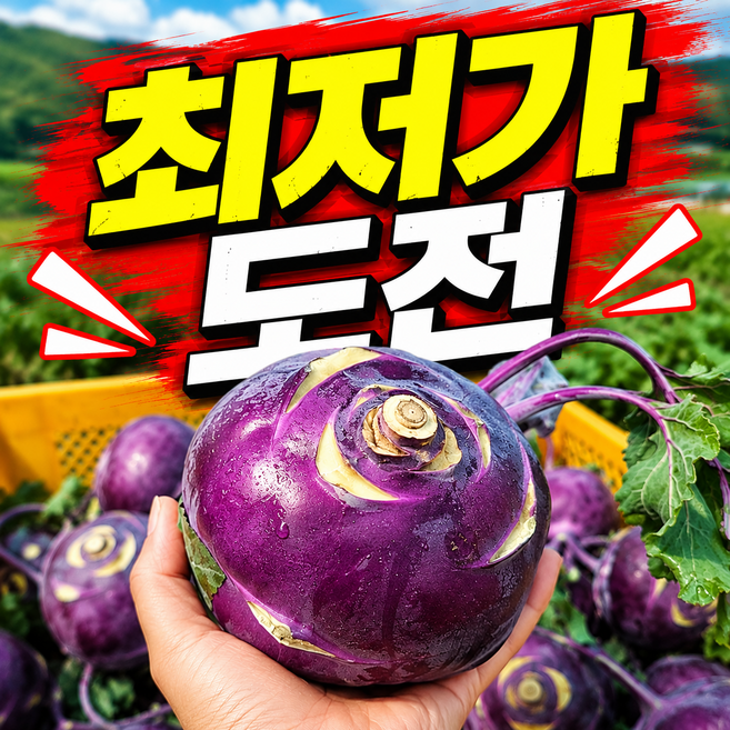 [오늘만초특가한정판매] 산지직송 아삭달달한 제주산 콜라비, 1박스, 3kg