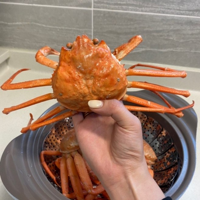 집들이메뉴 가족모임메뉴 산지직송 동해 속초홍게 2kg 자숙 강원도 홍게 찜요리용, 고급형 2kg (4-5미 내외)
