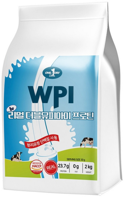 원데이뉴트리션 초코맛_단백질 쉐이크 헬스 보충제 포대 분리 유청 웨이프로틴 뉴 리얼 WPI 프로틴, 1개, 2kg