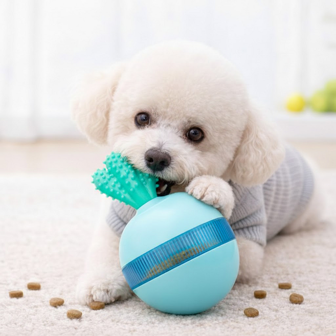 리더스펫 선인장 강아지 오뚜기 노즈워크 간식볼 실리콘 이갈이 장난감, 1개, 블루