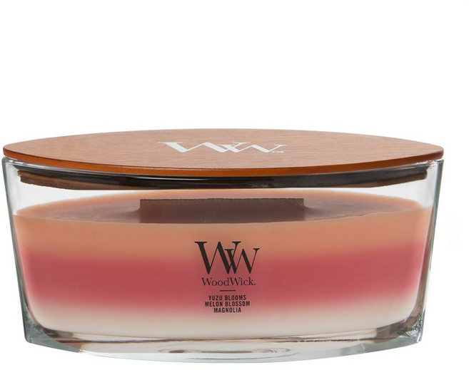 우드윅 향초 일립스 트릴로지 캔들 453 g 우븐 컴포트, 유즈 블룸스, 1개