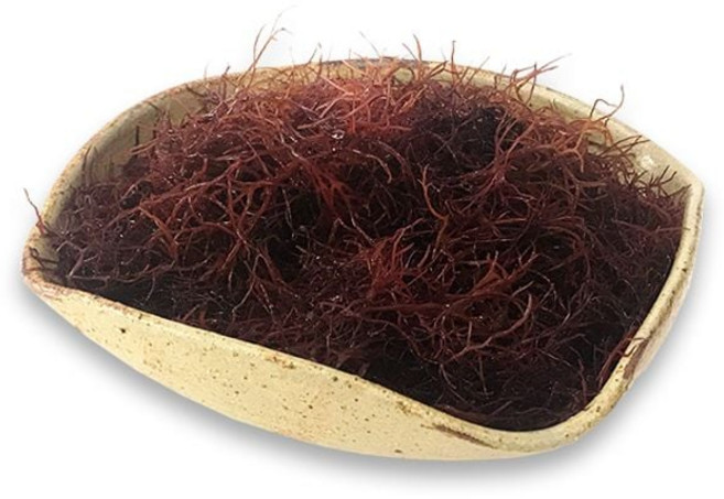 (장흥해초) 말린 세모가사리 1Kg ths+879MC, 1개