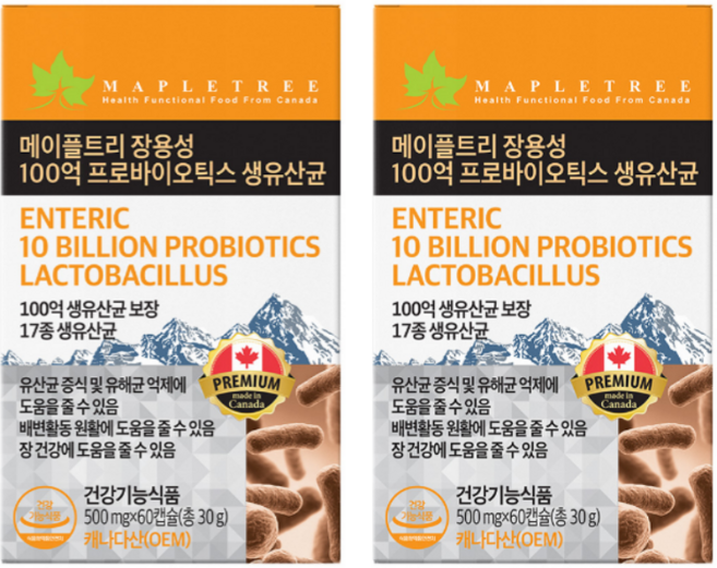 메이플트리 장용성 100억 프로바이오틱스 생유산균 500mg, 2개, 30정