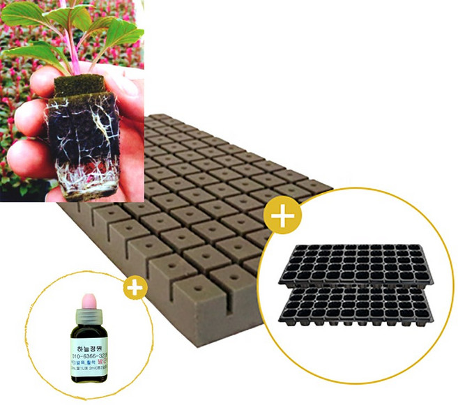 삽목용 오아시스104구+50구트레이 2장+발근력20ml+이름표사은품, 1세트