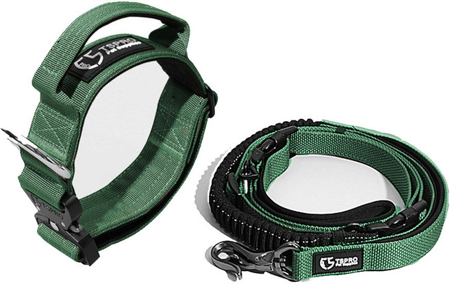 누즈펫 중형견 대형견 목줄 리드줄 세트, 그린, 1개