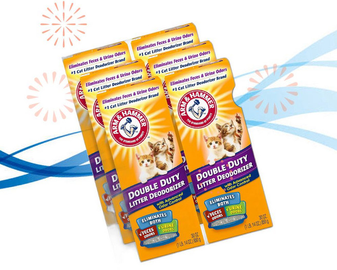 Arm Hammer 암앤해머 탈취제 고양이 모래 더블 듀티 850g 6개입 WA, 1개
