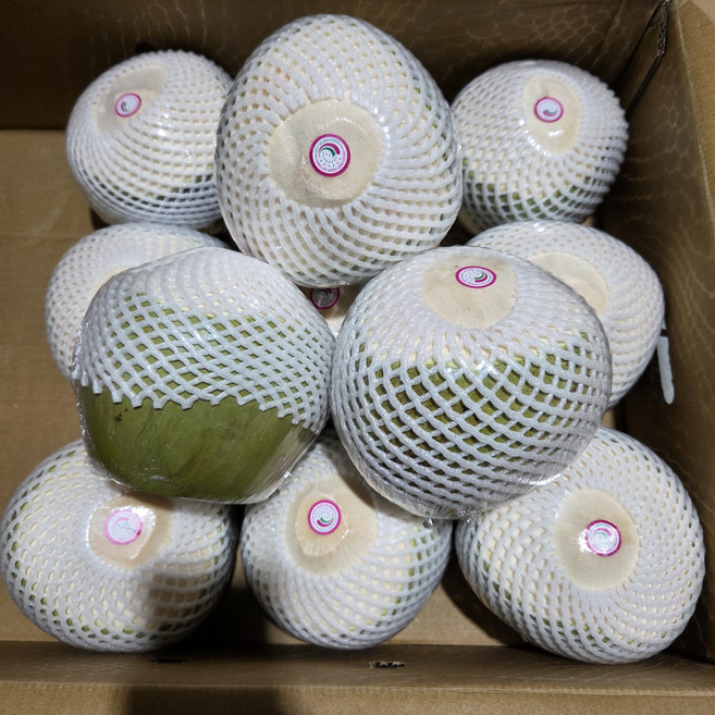 컷 코코넛, 1개, 1.2kg 내외