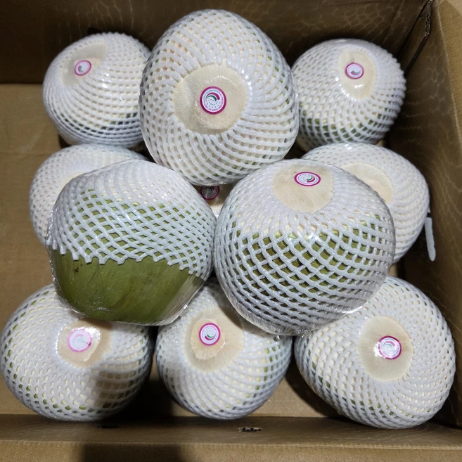컷 코코넛, 12개, 1.2kg 내외 - 쿠팡