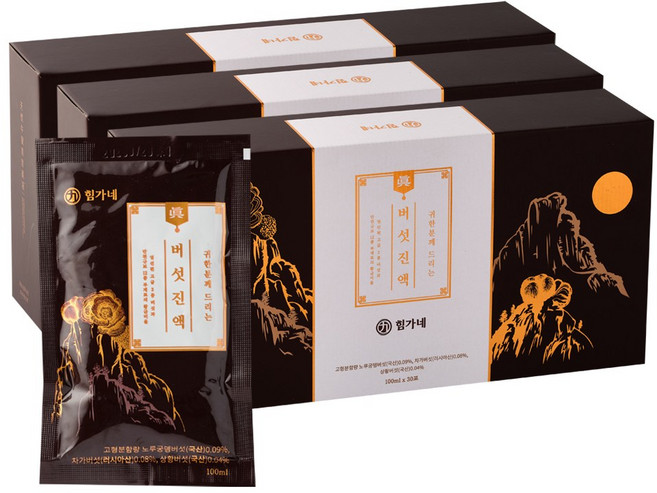 힘가네 차가버섯차 상황버섯차 노루궁뎅이 진액 암 흑 극복, 90개, 100ml