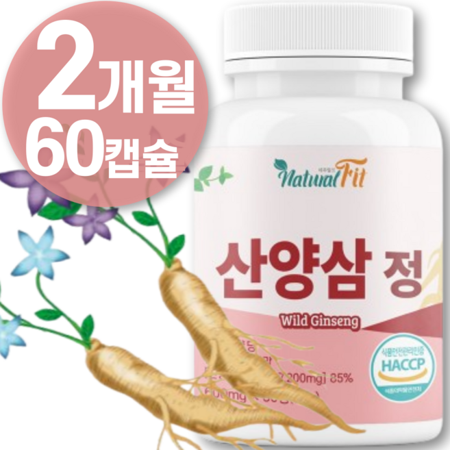 식약청HACCP인증 산양삼 정 산양삼 복합 추출 분말 컷 진세노이드 다이 가루 국산 삼백초 뿌리 추출물 배양근 어트 종삼 진액 환 알약 영양제 100% HACCP인증, 1통, 60정
