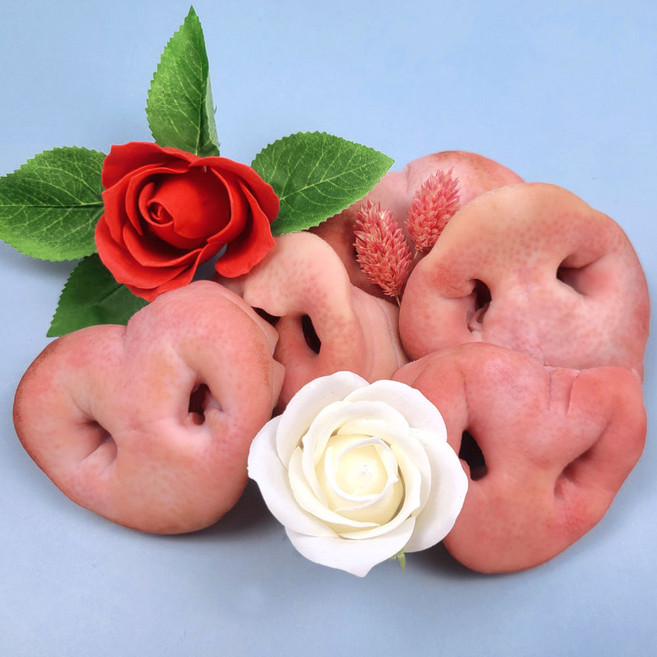 돼지코 5개 강아지수제간식 개껌 대형견생식 돼지국밥, 단품