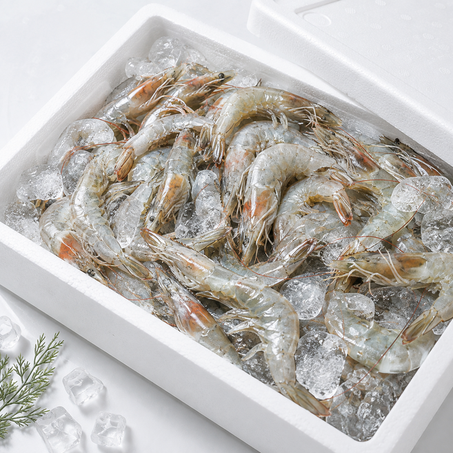 3위 - 당일선별 국내산 활 흰다리새우, 1개, 3kg (114미 내외)