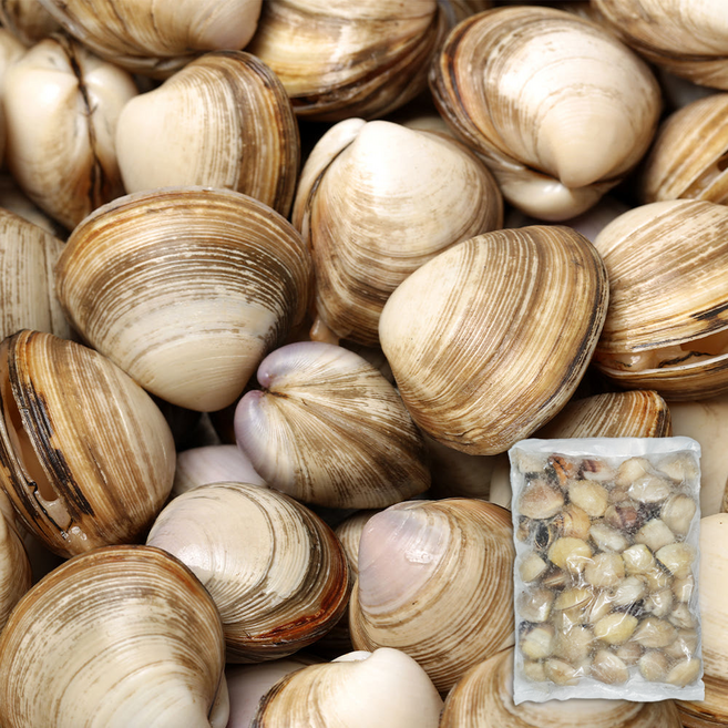 냉동 백합 조개 1kg(41~50마리) 조개구이 캠핑 탕