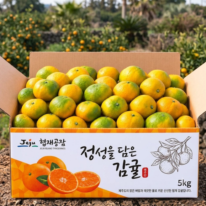 [타임특가] 하루50BOX 초고당도 햇 제주감귤, 1박스, 10kg