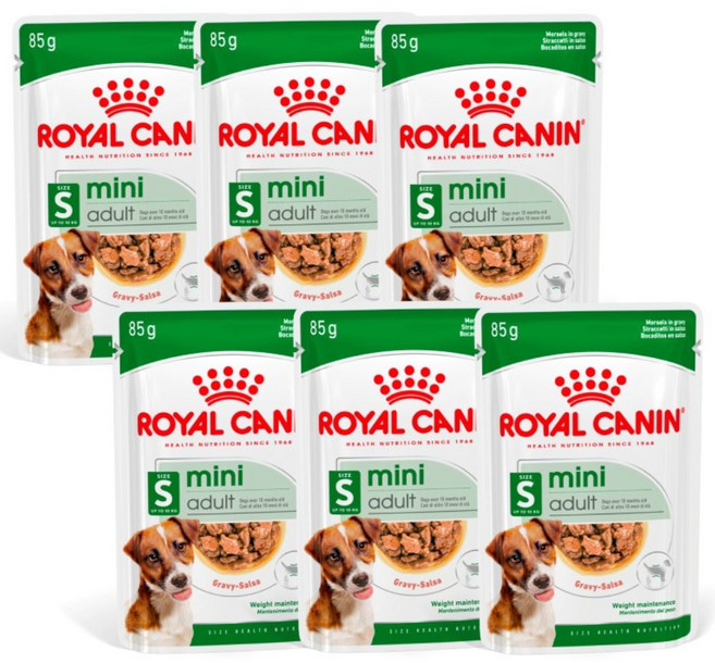 로얄캐닌 강아지 습식사료 미니 어덜트 파우치, 6개, 85g