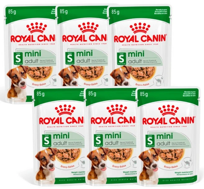 로얄캐닌 강아지 습식사료 미니 어덜트 파우치, 6개, 85g - 쿠팡