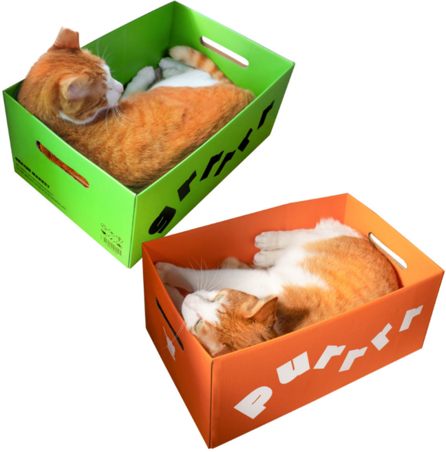차즈마켓 고양이 박스 스크래쳐 마약박스 푸르르 그르르, 1개, 그린(그르르)