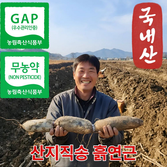 더맛곳간 무농약 국산 햇연근 흙연근 통연근 GAP인증 국내산 연근 생연근, 1개, 1kg
