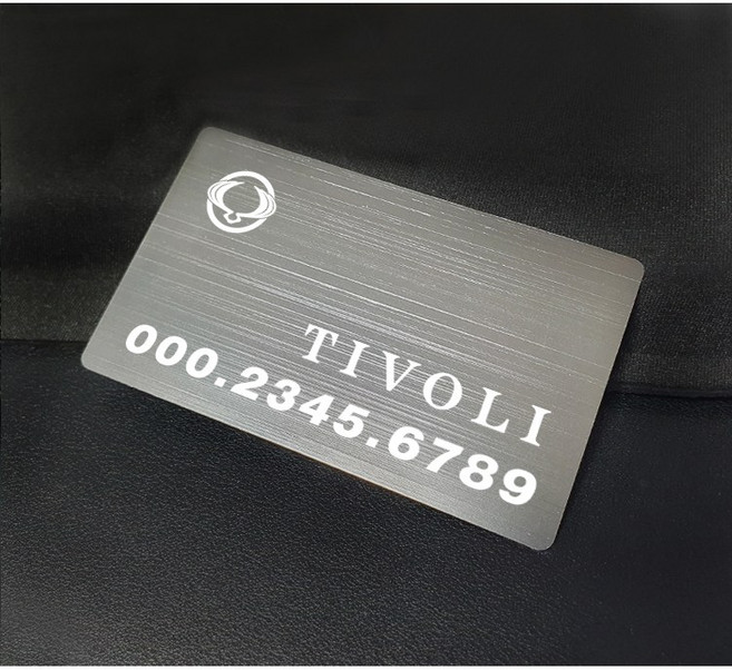 네임아트 올메탈 컬러 주차번호판 주문제작, 올메탈명함형_티타늄, 1개