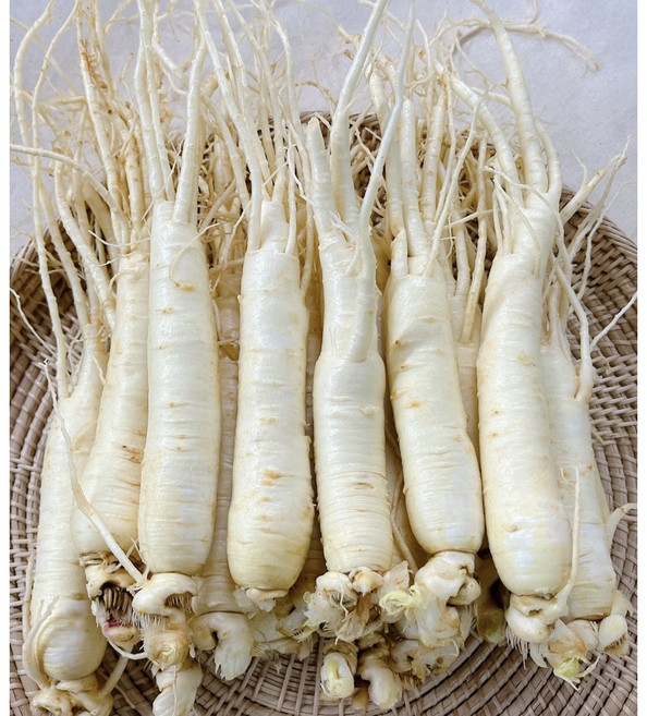 금산 바른인삼 6년근 원수삼 난발삼 미삼 750g, 난발삼750g - 중, 무료세척, 1개