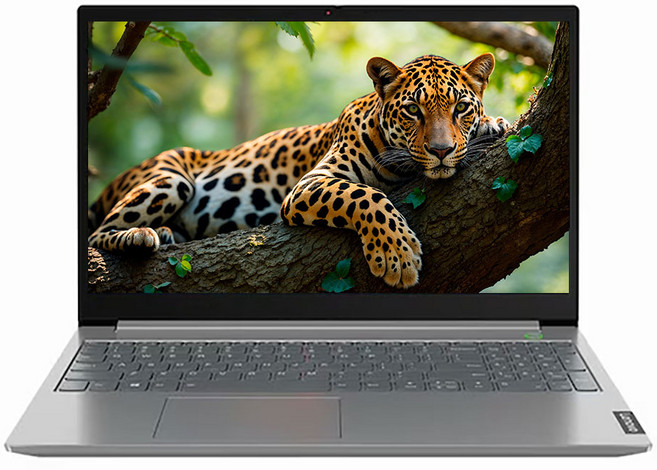 레노버 ThinkBook 15-IIL 20SM i5-1035G4/8G/NVMe SSD 256G/Iris Plus/윈11 FHD 15.6인치 180 오픈 노트북, 윈도우 11 홈, 8GB, 256GB, 블랙