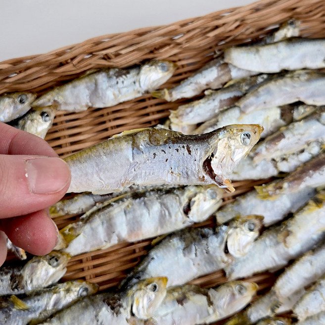 바다찬미 국물진한 최상급 국내산 햇 고노리 육수용 국물용 멸치, 1박스, 1.5kg
