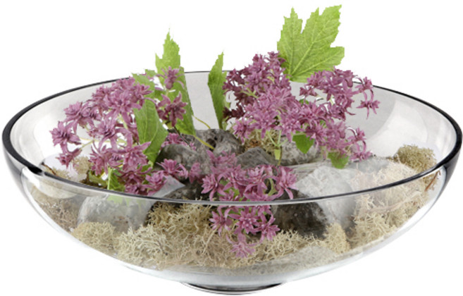 테라리움 플랫유리수반