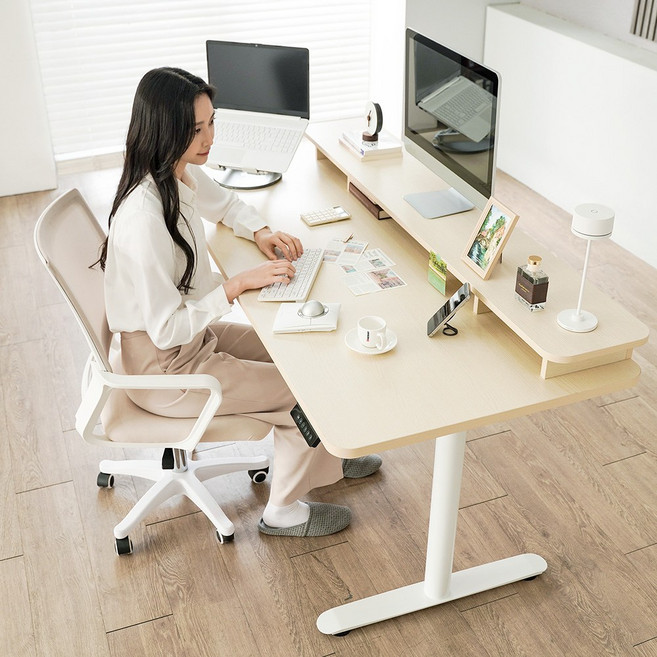 덱스탑 스마트 모션데스크 ADD 1600 선반형 상판 듀얼모터 스탠딩 책상 높이조절 선반일체형, 네추럴우드(ADD)