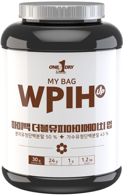 원데이뉴트리션 초코맛_단백질 쉐이크 헬스 보충제 가수 분리 유청 웨이프로틴 WPIH UP 용기, 1개, 1.2kg