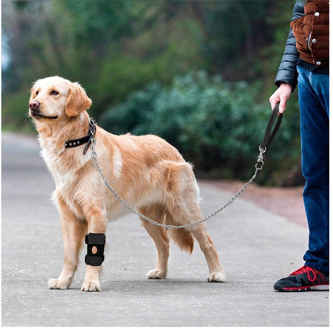 에이얼 강아지 고탄력 슬개골 보호대, 1개, 블랙