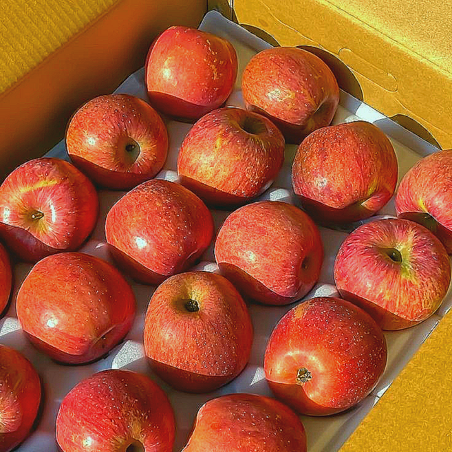 [산지직송] 안동사과 못난이 가정용 부사 상처 아침 사과 경북사과 맛있는 사과즙용 사과주스용 햇사과, 1박스, 3kg