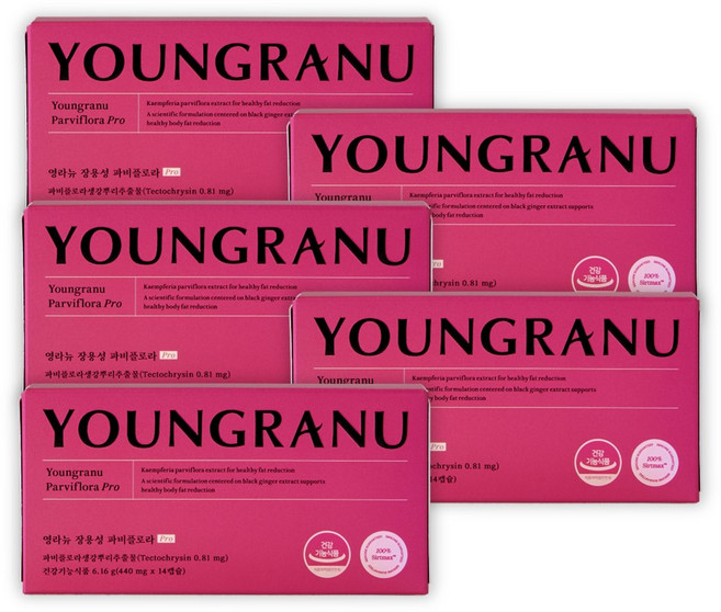 영라뉴 파비플로라 프로 PRO 생강뿌리추출물 14캡슐X5박스, 5개, 14회분