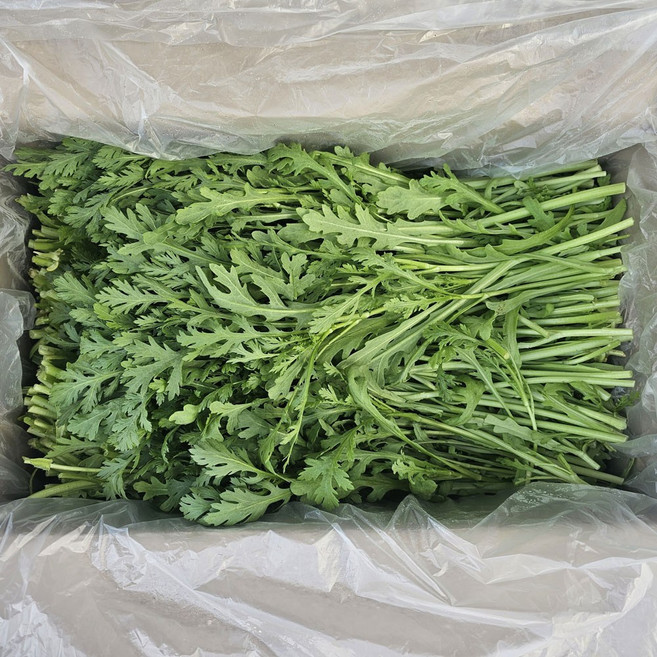 고품질 향긋한 국내산 생쑥갓 4kg 쑥갓 국산쑥갓 세척쑥갓 쑥갖 쌈채소 가정용 업소용 제철채소 제철야채 농장직송 산지직송, 1개