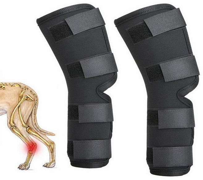 대형견 뒷다리 골절보호대 리트리버 부목 십자인대 발목 뒷발 지지대 강아지, A. 무릎 보호대, XL, 1개