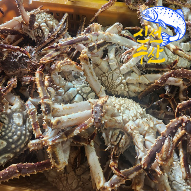 입안 가득 퍼지는 깊은 단맛 살이 아니라 결 을 씹는 프리미엄 북해도 레드 킹크랩, 1박스, (생물) 레드 킹크랩 1마리 (약 1kg)