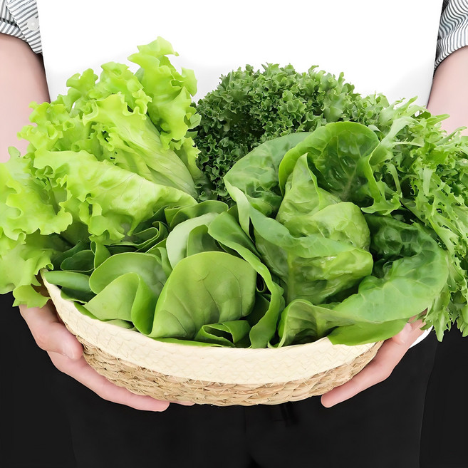 7위 - 산지직송 유러피안 샐러드 유럽 샐러드 쌈채소, 1kg, 1박스, 샐러드 3종 1kg