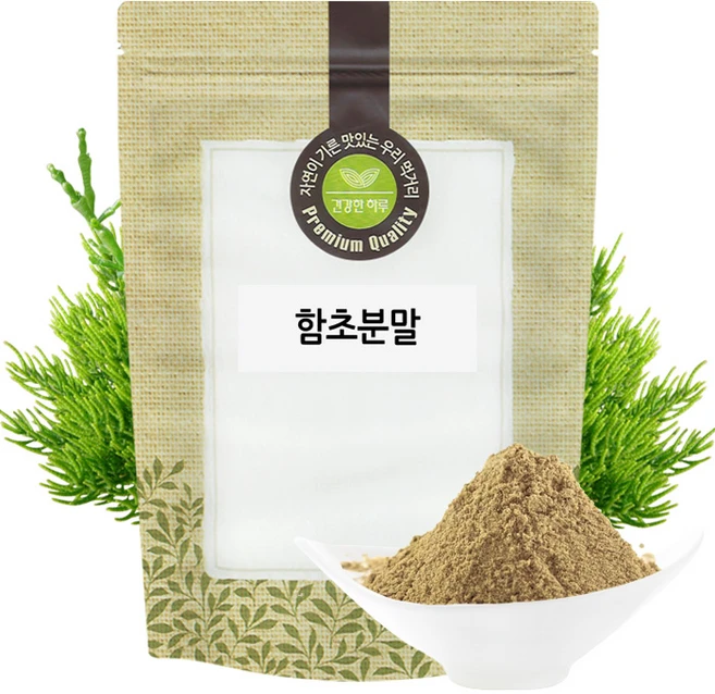 함초 분말 가루 300g 국산 국내산, 1개 - 쿠팡