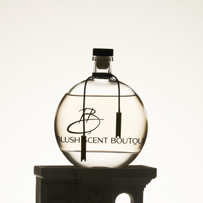 블러쉬 베이비풀문 오브제 인테리어 고급디퓨져 대용량디퓨저 실내방향제, 1개, 250ml, 블랑쉬(호환)